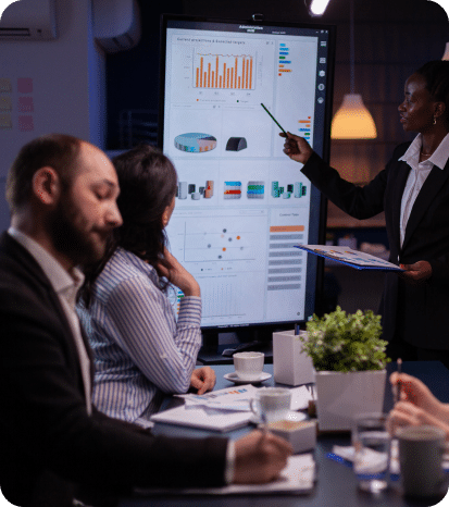 Project Management and Business analysts